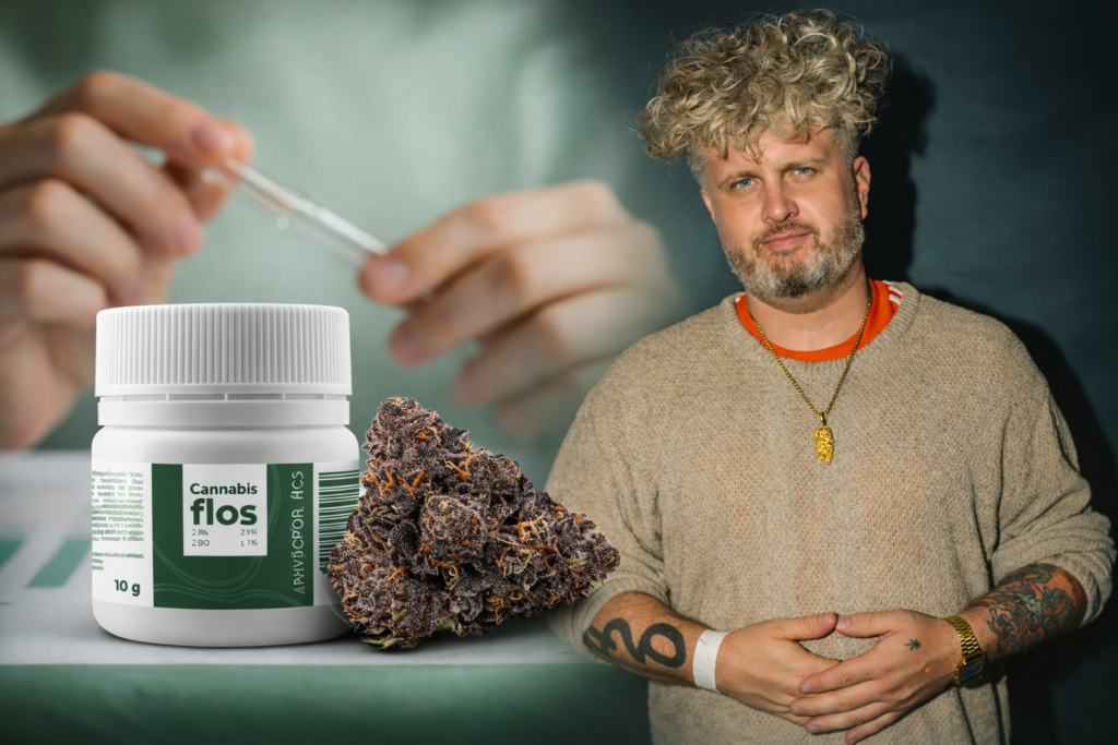 Big Purple Dragon Phytopur Bio 24% – medyczna marihuana Phytopur, recenzja pacjenta