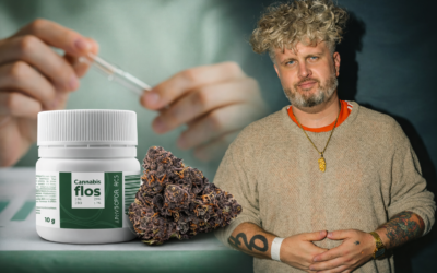 Big Purple Dragon Phytopur Bio 24% – recenzja Siwego Brokuła