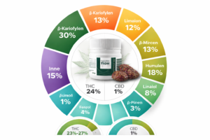 Profil terpenowy Big Purple Dragon Phytopur Bio 