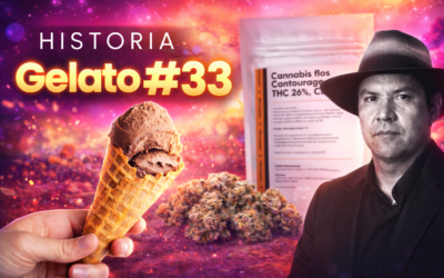 Gelato 33 – od kalifornijskich growroomów do europejskich aptek