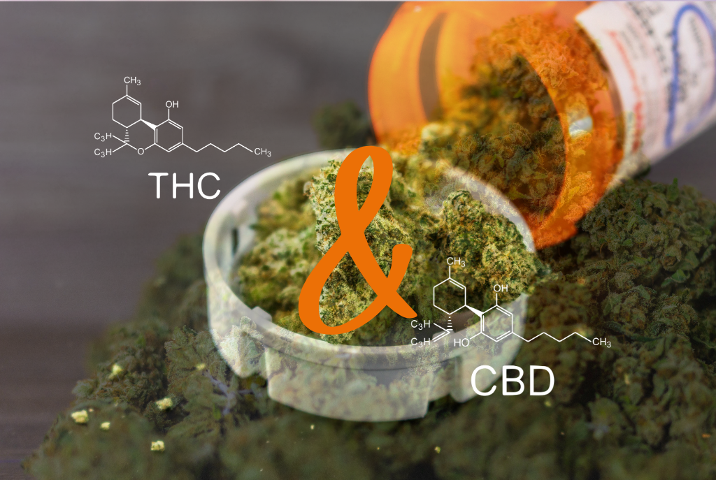 jak dziala cbd