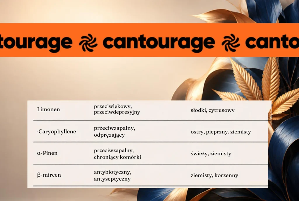 cantourage