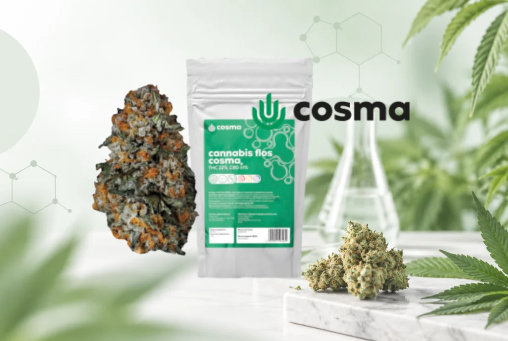 dosimosa strain