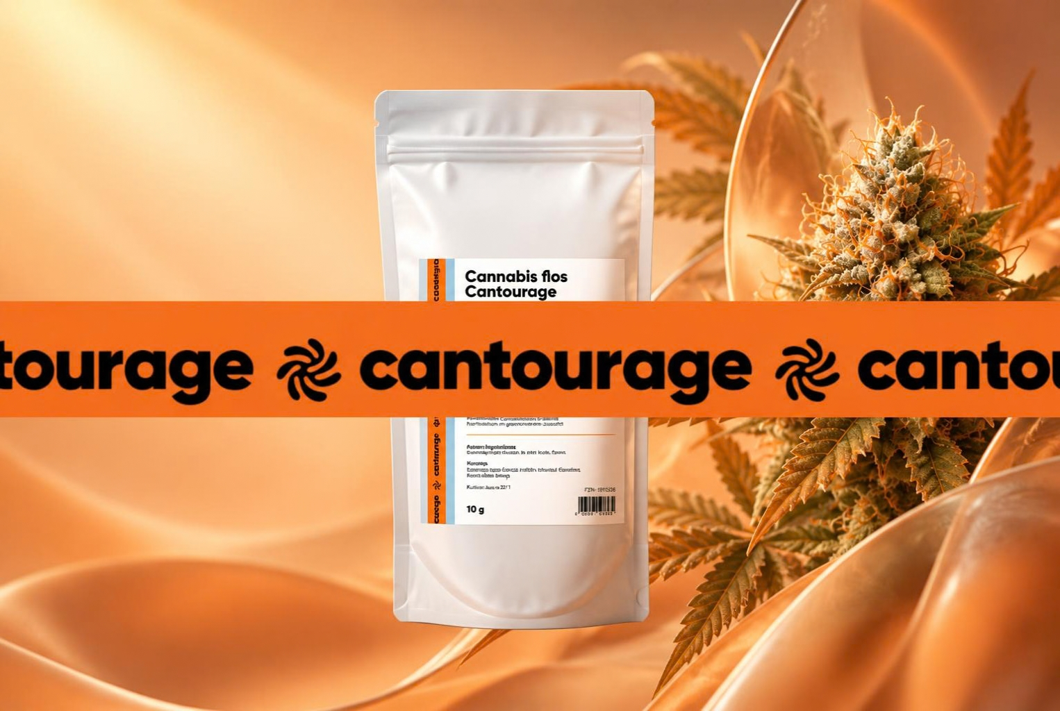 Cannabis Cantourage | Slurricane Mint strain (medyczna marihuana)