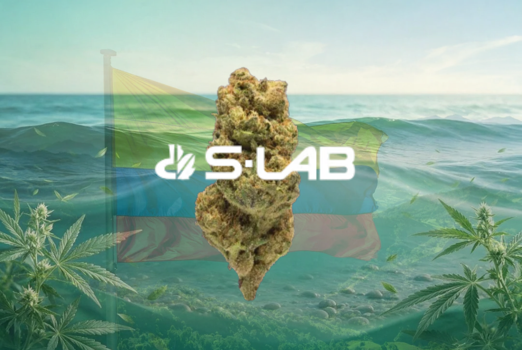 slab 22